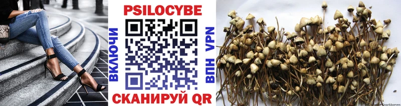 Галлюциногенные грибы мухоморы  Купить  Краснообск 